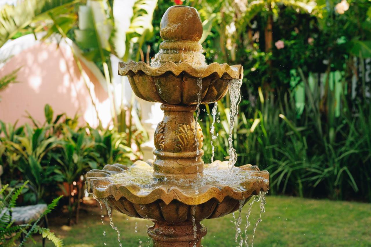 Hotel Boutique Quinta Das Videiras Florianópolis Kültér fotó