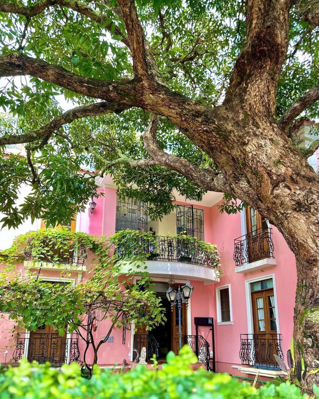 Hotel Boutique Quinta Das Videiras Florianópolis Kültér fotó
